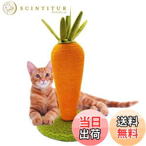 yzLIFLIX ɂ񂶂 L ܌ L ߂Ƃ |[ VRTCU CeA   gݗĊȒP