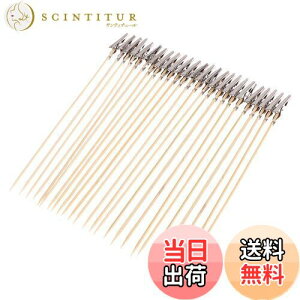 yzYFFSFDC lR̎莝_ yCeBONbv 25{h_ vf zr[php gݗčς Nbv Zbg GAuV