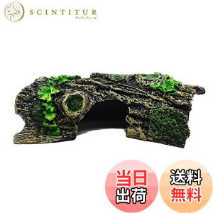 yzCharmoon ANAE IuWF  B  I[ig  u CeA 