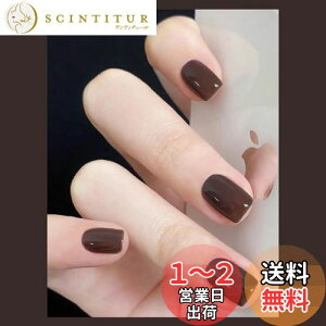 yzFuyunohi lC`bv V[g  Z V[glC`bv n  ؍ GKg Ȗ ʃe[vt ȒPɎt 24Zbg DIY ֗ lCpi   