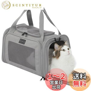 yzPETSFIT ybgL[ ܂肽 L L[ obO  E^LpE^Ep LCȂ ԍ/hCu/LsO/s/ʉ@/ЊQp O[ STCY