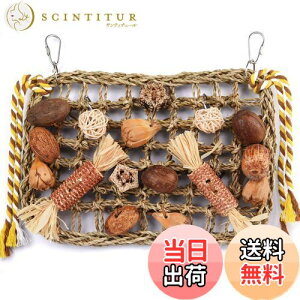 yzKito Lee o[hgC CR  ObY ̗Vя ݉^Cvߋ ZLZCCR IE ނ ފߋ VRS