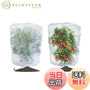 yzLIANHATA hlbg 2Zbg AیJo[ bVВ hlbg 悯Jo[ ؖ ΍ ʋC  Ap ؍͔| ؉v^[p (80*80cm)