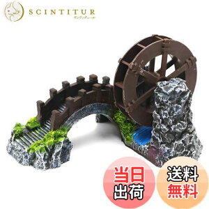 yzCharmoon ANAE ۋ   a B VF^[ A  IuWF