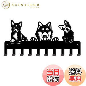 yzSUPERDANT 3ČL[tbN StbN Ǌ|tbN L[z_[ ǎtR[gbN EH[nK[ }`tbN lWttbN ǖʎ[  ω׏d 