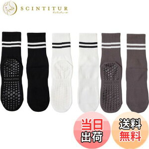 yz[DFsucces] K\bNX ~ KC 3 Õ\bNX  ۉ seBX \bNX RۏLC z z ʋC X|[c tBbglX I[V[YΉ 