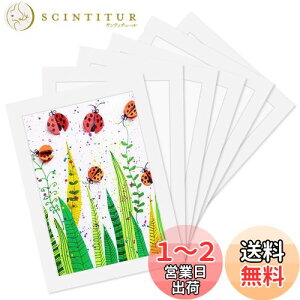 yzHaojiaho Wp tHgt[ 6Zbg A4TCY ypCz q̊G Wp A[gt[ Ǌ|  y  G拳 G W y[p[tHgt[ q