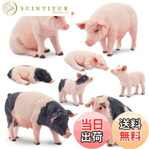 yzTOYMANY 8PCS_ꓮtBMA u^tBMAZbg ؃f eq Aȓ͌^ lC  ߋ av[g NX}X VN 蕨 RNV 6Έȏ