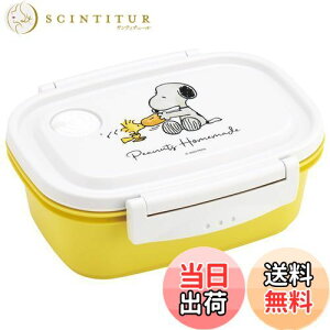 yzXP[^[(Skater) Ny y ٓ M 550ml WΉ V[e ۑe Xk[s[  { XPM4-A