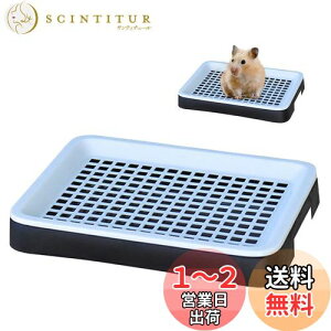 yzPAVIKE gC y25*19.5*3cmzbggC gCg[ Ch bVt ybgpiAȒPAAtFbgA``AETMAgCg[j