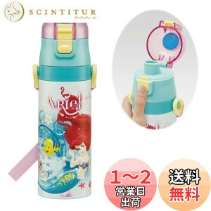 yzXP[^[(Skater) qp XeX   470ml fBYj[ AG 24 qɗDyʃ^Cv ۗp waterbottle X|[c{g 킢 LbY q ǂ r SDC4-