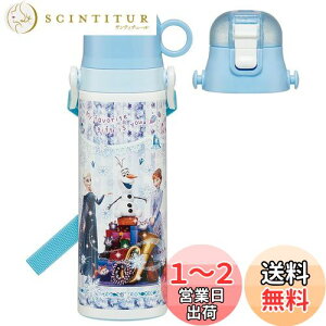 yzXP[^[(Skater) qp 2way XeX   580ml Rbv 570ml fBYj[ AiƐ̏ 24 qɗDyʃ^Cv j̎q  SKDC6-A
