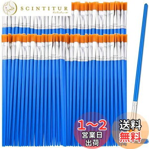 yzDFsucces M GM 50{Zbg 16.5cm ޕM ʕM vf h ʉ G AN yCg