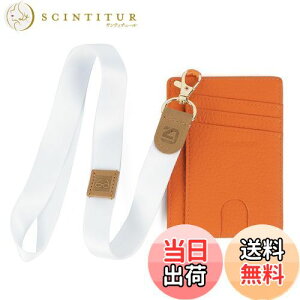 yz[GADIEMKENSD] J[hP[X e Y icJ[hP[X ^ J[h RCP[X RFID {v Ch~ NWbgJ[hP[X fB[X K Ƌ؃P[X ^ X 