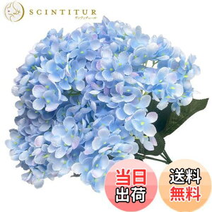 yzhimsyuden AWTC z  5 VNt[   A[gt[ DIYԍ Be lH Mtg j ԑ ItBX iX  CeA