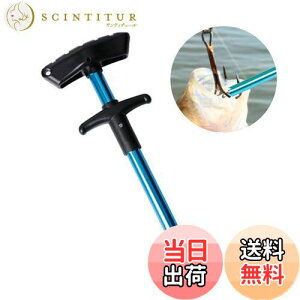 yzBIUTEFOR tbN[o[ jO ނ bO y gь^ ނ菬 ϖ ϋv Kтɋ