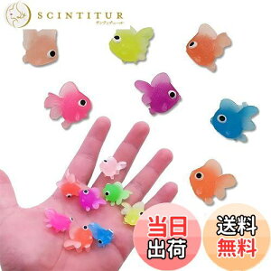 yzBIUTEFOR    50Zbg 7F ՂObY ɕ