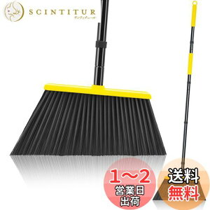 yzJEHONNقS140cm 䕝36cm [ɕ֗ | ⴉO   z[ VbvœK F