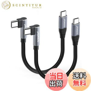 yzaceyoon USB C P[u Z 10cm Type-C L 2{ ő100W }[d ^CvC PL^ 10Z` 480Mbps f[^ CtoC P[u 90x  IX-IX 0.1M for iPhone16 15 V[Y for Galaxy ȂǂU