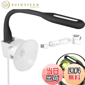 yzPAVIKE  Cg ^  Cg Ɩ usbd ANAECg zՎCg 360x Ȃ\ Ϗ܋ 琬 ȃGl 