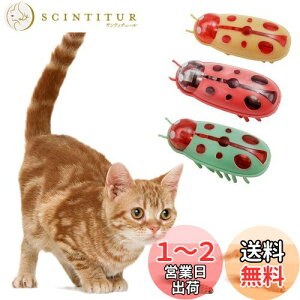 yzKASELIN d  3Zbg drL񂨂 dCybĝ  L ߋ lV QԂ@\ Cat'sbug! ĂƂ ~jdqJugV LpC^N