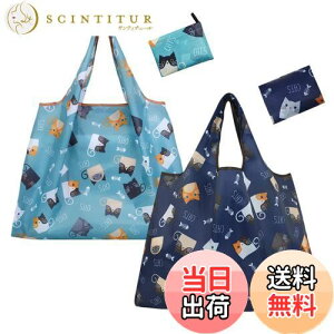 yz[KALOLINNA] ܂肽 GRobO 2  e RrjobO  RpNg y ϋv [ ܂肽݃obO \  gѕ֗  obNpb