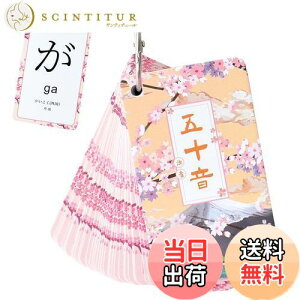 yzPAVIKE Ђ炪ȃJ[h J[h ЉJ[h  J[h  {̕׋ Ol  y ^тɕ֗ tbVJ[h ܏\J[h {wKJ[