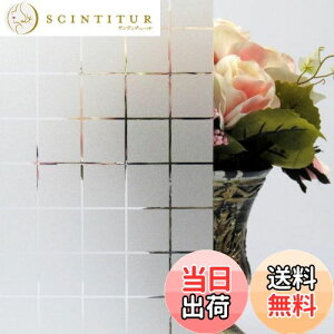 yzJuangfia ptB ډBV[g KXtB vCoV[ی tB Iy KXUh~V[g fMtB UVJbg \蒼\ 10m