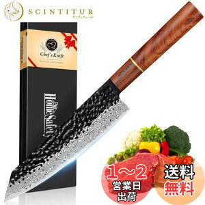 【送料無料】HomeSafety 包丁 剣型(切付型)牛刀包丁 ダマスカス包丁 刃渡り210mm. プロ用三徳, キッチン用万能. 手打ち鍛造キッチンナイフ, 槌目 ダマスカス模様 両刃 左利き用, 錆びにくい67層