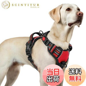 yz[ŐV^n[lX]rabbitgoo  n[lX p ^/^/^ h~ TCY\ A^}ʂ Ԕˍ Ȃ ʋC Pݖh~ s⏕n[l