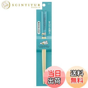 yzXP[^[(Skater) |S  | 21cm ACVi[  ANT4-A