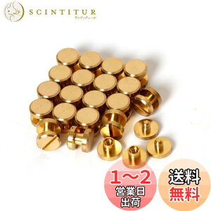 yzVJSXN[ 20 8×4×3mm ^JglW R` obO xg т傤 xbg X^bY p[c e xbg X^bh lW U[Ntg DIY nhCh p[