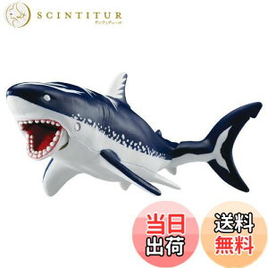 yz^Jg~[ AjA `嗤 AjALO_ K[ (Kh)    3Έȏ