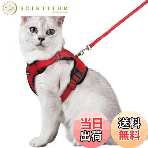 yzRabbitgoo L n[lX [h Zbg Ȃ Lpn[lX \tgy Lp ^ ^ U ЊQ ́[˂ [ グ TCY߉ 锽 ʋC