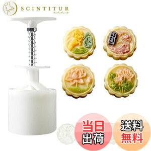 yz[BEAUTY PLAYER]݌^ [P[L^ ݃[h X^v*4 50g݋^vX 蓮͌ NbL[^ x[LO^^ َq aَq H ABS {+͗l