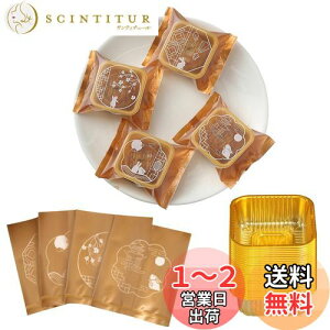 yz[BEAUTY PLAYER]50gݗp100Aݗpyg[100 َq aَq H ƒp蓮DIYc[(+S[hgC)