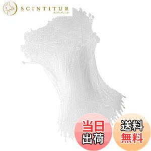 yzDFsucces ^Ot@Xi[ [vbN 1000{ lD ɕ֗ [vs vX`bN Xܗp e[v  ^O Ɩp mp (, 18cm)