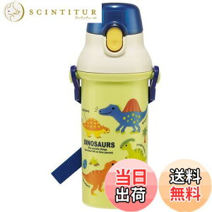 yzXP[^[(Skater)  fBmTEX sN`[ 480ml qp j̎q R vX`bN { PSB5SANAG-A