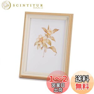 yzAnnhua tHgt[ ʐ^ 2L  t[ cp X^h ʐ^ tHgX^h  fUCt[ ؖڒ i` ʐ^t[ z j LO