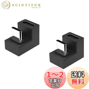 yzYFFSFDC USB Type C  ϊ A_v^[ y2Zbgz U U^ 180xpxt 100W USB3.1 [d PD[d f[^ 10Gbps ^Cvc type-c ϊA_v^ IX X USB C RlN^[ X