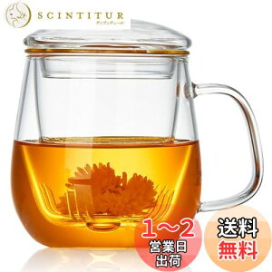 yz|JeB[ t}OJbv ϔMKX eB[Jbv 520ml Infusion Mug  }bO Wt ΑΉ dqWΉ g }OJbv NARbv  [teB[ H