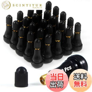 yzJiiinMiiinmH TR413 CL `[uX^CSou GAou Sou CLLbvt ԗp S TR413 CLy100z