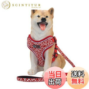 yzTHAINn[lX[hZbg  ^ h~ ͗l Ԕ TCY߉\(M ͗l)