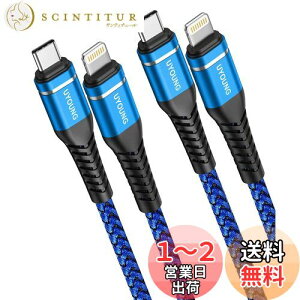 yzUSBC CgjOP[u 2m ^CvC iPhone [dP[u PDΉ Type-c Lightning P[u }[d iPhone 14 13 12 11 Pro Max XS XR 8 Plus Ή (2{ )