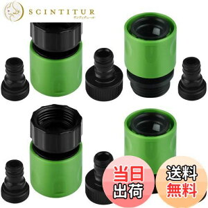 yzWETARENDA UǃRlN^ 10Zbg ֌ z[X WCg 3/4߂˂3/4˂ Uǌp ֌ RlN^[ A_v^[ z[X RlN^[ z[X  _ Z WCg