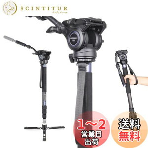 yzINNOREL m|bh X^h J[{ r rfI Bep t[h_ F60 Or ώ 360xpm} ibgbN liLk 72-182cm `[ua33/29/26/22mm őω׏d10kg f