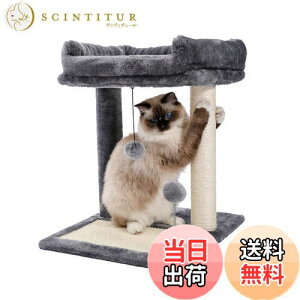 yzPAWZ Road Lbg^[ ~j L^[ ܌ Ⴂ ^ RpNg ܂Ƃ|[ u ~j^Cv ȃXy[X LVRTCU L̗Vя ₷  낵W