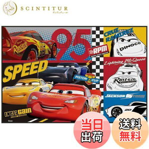 yzXP[^[ (skater) W[V[g STCY 60×90cm fBYj[ J[Y 22 VS1-A