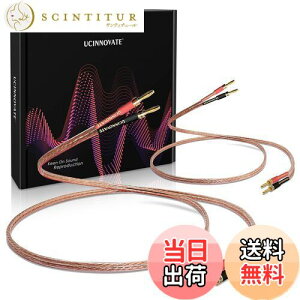 yzyUCINNOVATEz_foiivOH n_ς 13AWG bLoiivOt HIFII[fBICXs[J[P[u 2m/2{g