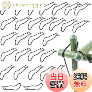 yzBenRan ؉NXoh 30{ | x 16mm 20mm ؉ _ xŒ WCg p[c (A)